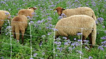 Un outil pour maîtriser son bilan carbone