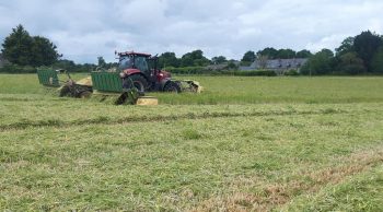 Débit de chantier de 70 ha/jour pour ce groupe de fauche