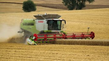 Prix céréales : le  Covid accentue l’imprévisibilité