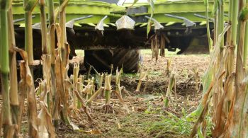 Un format d’ensilage bien calé