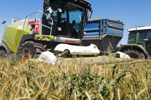 Ensileuse de la cuma Casse graine avec sa nouvelle coupe directe Claas