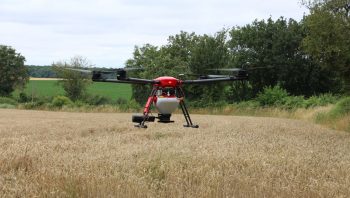 Un semis aérien pour le couvert