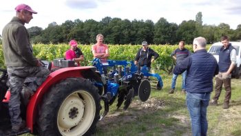 Vouvray : désherbage mécanique et couverts vont de pair