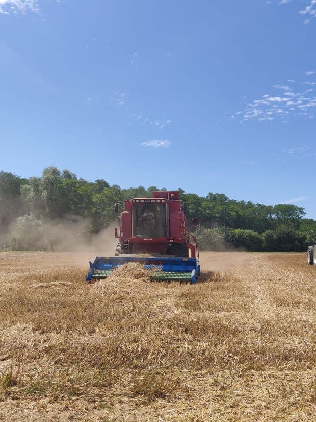 avis moisson décomposée