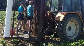 Haute-Garonne: une, deux, trois récolteuses en cuma