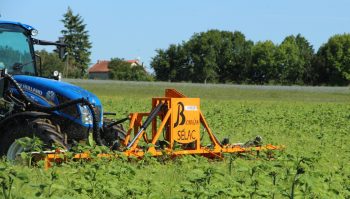 Une écimeuse en démonstration dans la Vienne