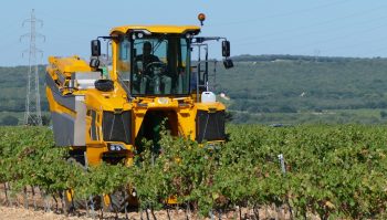 Une machine à vendanger compacte chez Grégoire