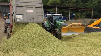 Quand un chantier d’ensilage devient un cluster de coronavirus