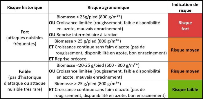 Colza et charançons : Grille de risque vis-à-vis du charançon du bourgeon terminal