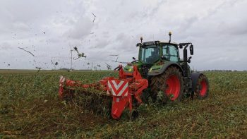 Coût hectare : 7 outils de destruction de couverts à la loupe