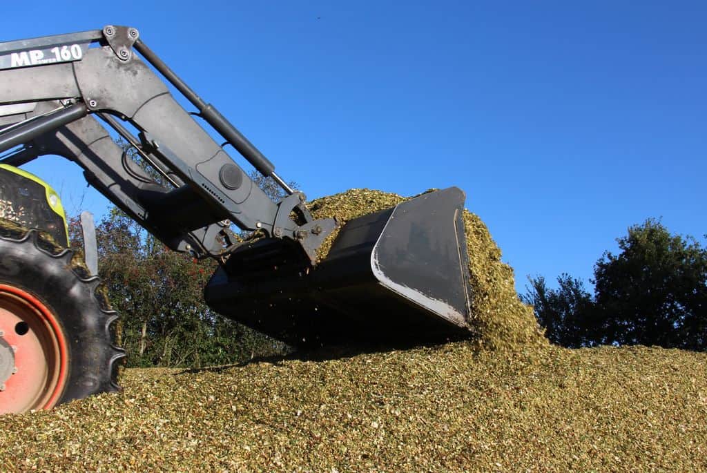 Confection de silo de maïs en 2020