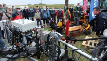 Zéro herbicide en vigne, c’est possible!