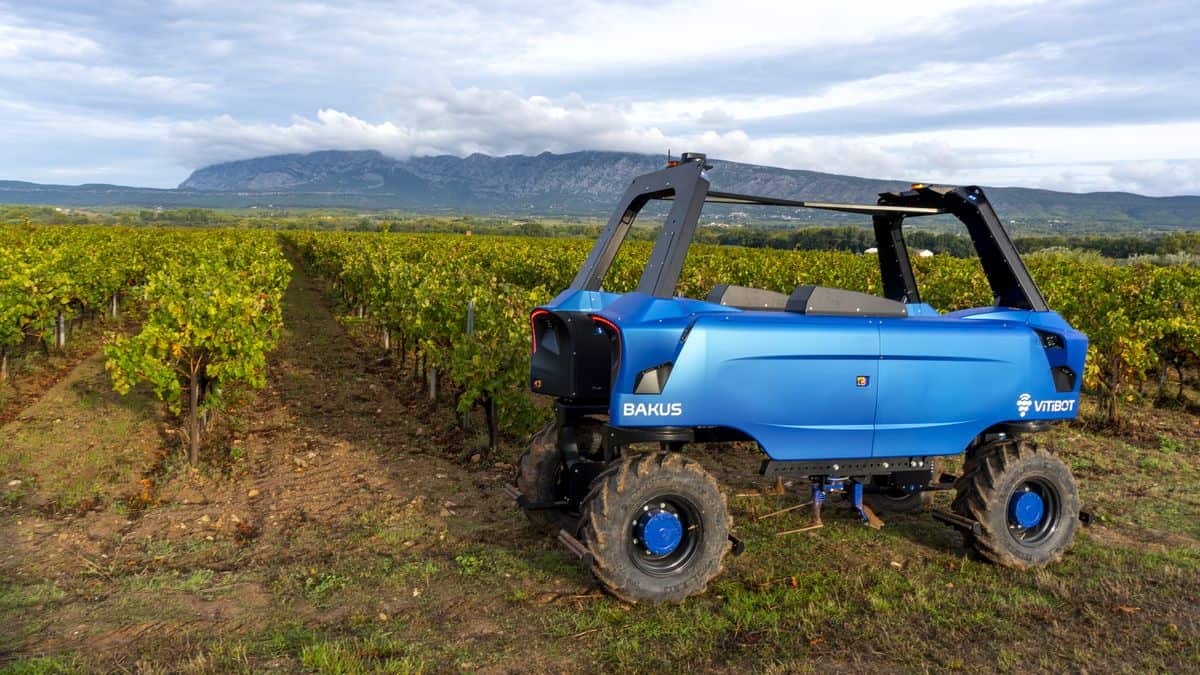 Robot viticole enjambeur Bakus de VitiBot au Fira 2020 - Entraid