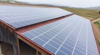 Photovoltaïque : attention aux risques réglementaires méconnus !