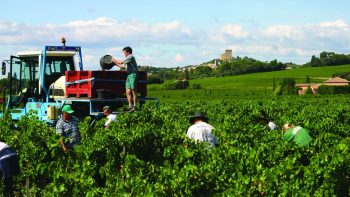 Céder, provisoirement, la propriété des terres exploitées