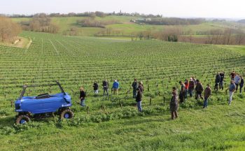 Dans le Tarn, les projets invitent à l’optimisme