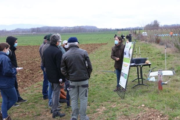 Mission haie auvergne: conseil sur la plantation de haies