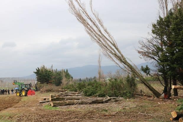 valorisation des bois des haies