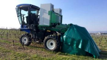 Un robot de taille en développement pour la vigne