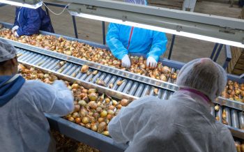 Plus de 8000 candidats pour travailler dans l’agricole