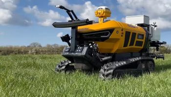 Un robot pour traiter les rumex dans les prairies