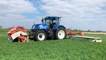 48€ l’hectare prêt à être ensilé à la cuma Croix-au-Bois