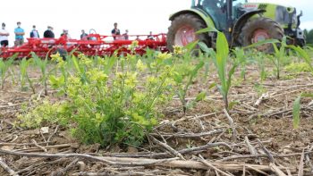 Une démonstration pour définir sa stratégie de désherbage mécanique