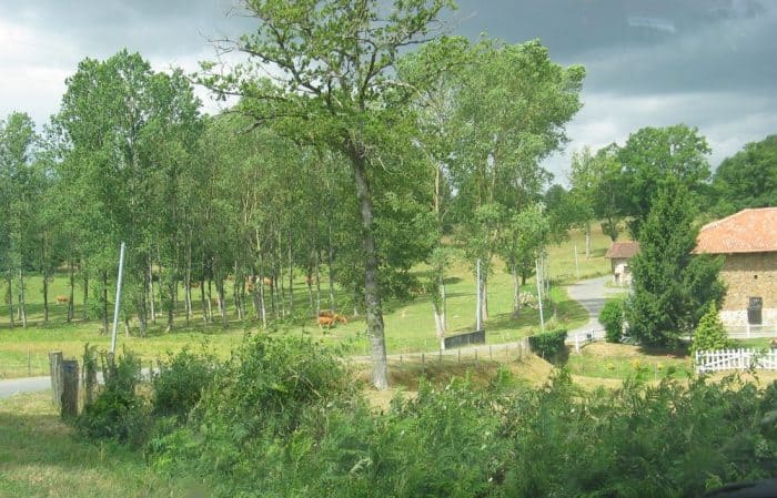 foncier agricole et ruralité