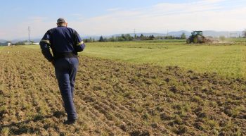 Le congé paternité s’allonge à partir du 1er juillet