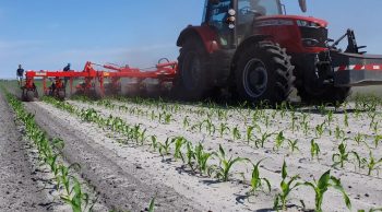 Landes : désherbage mécanique haute performance et grande largeur