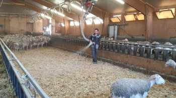 Dussau: automatiser la distribution paille et aliments pour les ruminants