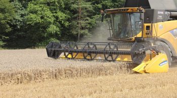 Moisson: le rendement du blé sera supérieur à la moyenne