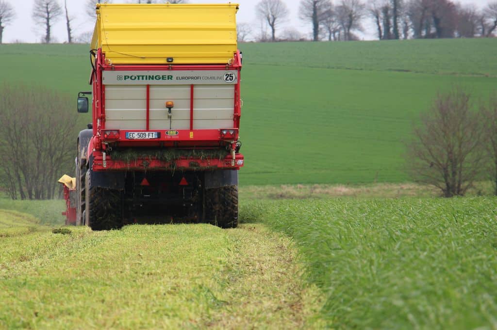 Fauche pour affouragement en Bretagne