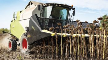 Olimac: un broyeur sous cueilleur spécial tournesol