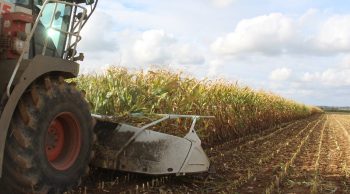 Ensilage du maïs: hacher fin et briser menu!