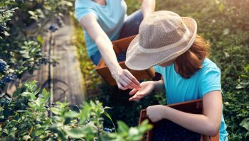 Tout ce qu’il faut savoir sur la réglementation des stages et jobs d’été