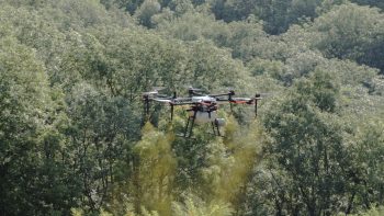La pulvérisation par drone est-elle efficace en viticulture?