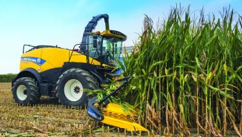 Les 1ers ensilages de maïs prévus vers le 26 août