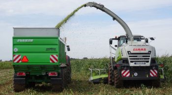 Ensilage maïs: 15 jours avant le top départ