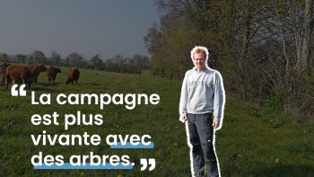 [Portrait] La campagne est plus vivante avec des arbres