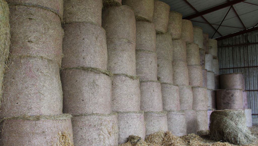 La Déduction pour Épargne de Précaution est un dispositif fiscal qui permet de réduire le montant du bénéfice agricole imposable. Cogedis décrypte le fonctionnement et l'intérêt de la DEP pour vous.