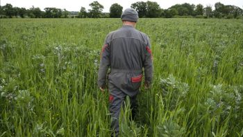 Le plan France Relance a pris son élan