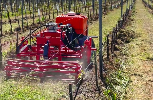 robot Agreenculture-Pellenc dans la vigne