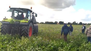 Prime aux couverts végétaux multi-espèces