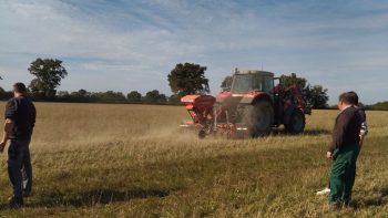 Que penser du Güttler GreenMaster au sursemis de prairies ?