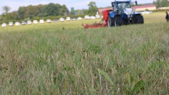 Quelles solutions face à la dégradation des prairies naturelles?