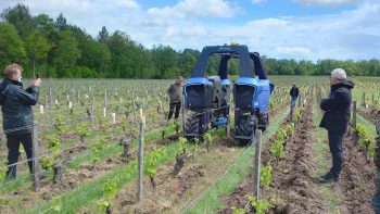 Robot viticole: un nouvel outil adapté pour revenir au travail du sol?