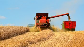 Combien coûte un chantier de moisson?