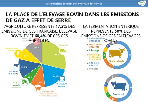 graphique émissions de méthane des bovins Idele