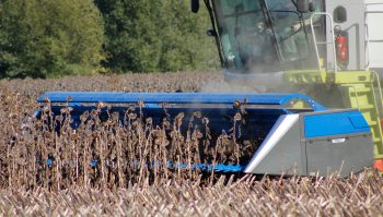 Récolte du tournesol: une nouvelle coupe Poget